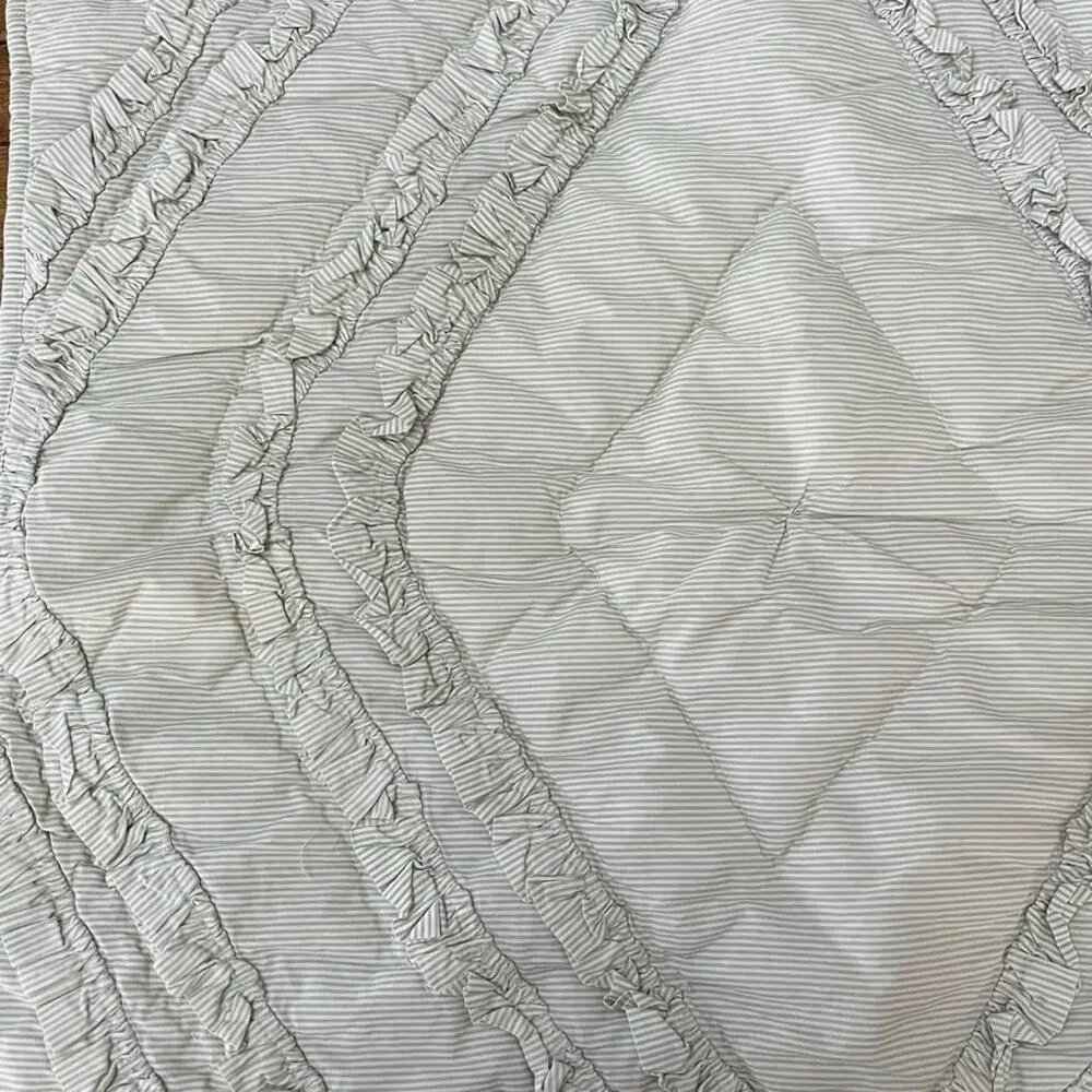 Pottery Barn Teen Emily & Meritt Diamond Ruffle Standard Quilted Sham Stripe